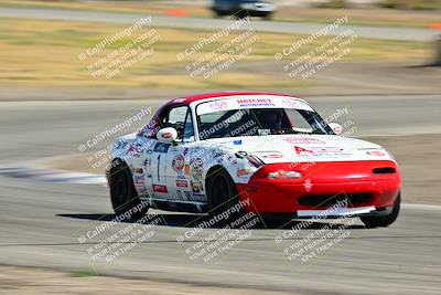 media/May-24-2025-Turn8 Trackdays (Sat) [[034586b55d]]/1 Advanced 2/Session 2 (Cotton Corners-Grapevine)/
